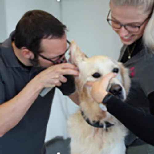 Laura B., Tiermed. Praxisassistentin EFZ 